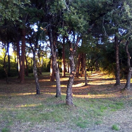 Enjoy The Best Of Countryside Leiria Extérieur photo