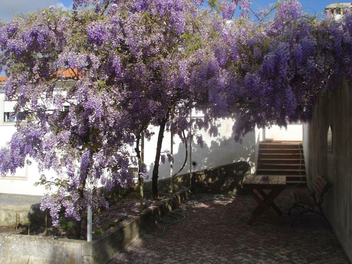 Enjoy The Best Of Countryside Leiria Extérieur photo