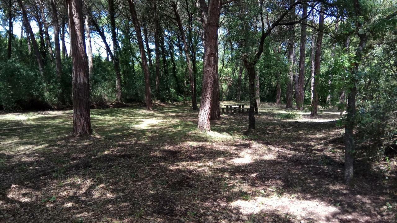 Enjoy The Best Of Countryside Leiria Extérieur photo