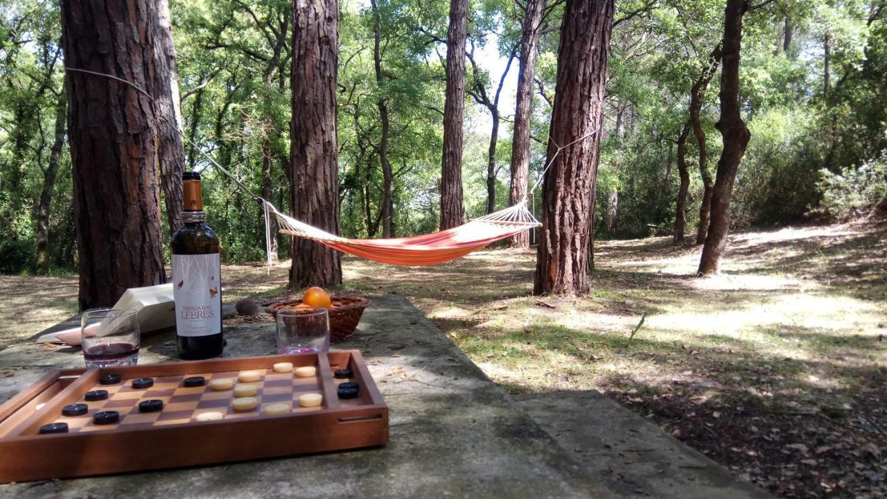 Enjoy The Best Of Countryside Leiria Extérieur photo
