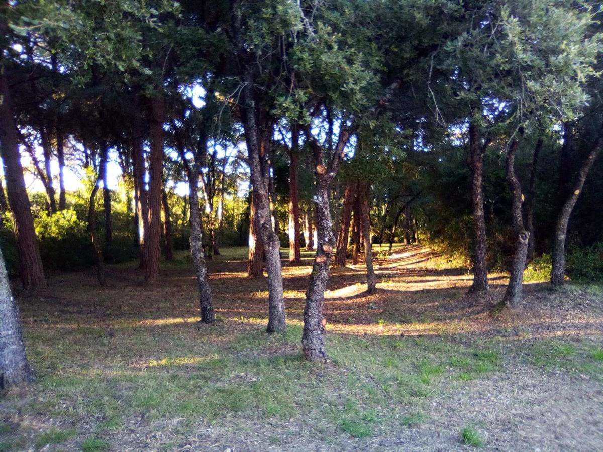 Enjoy The Best Of Countryside Leiria Extérieur photo